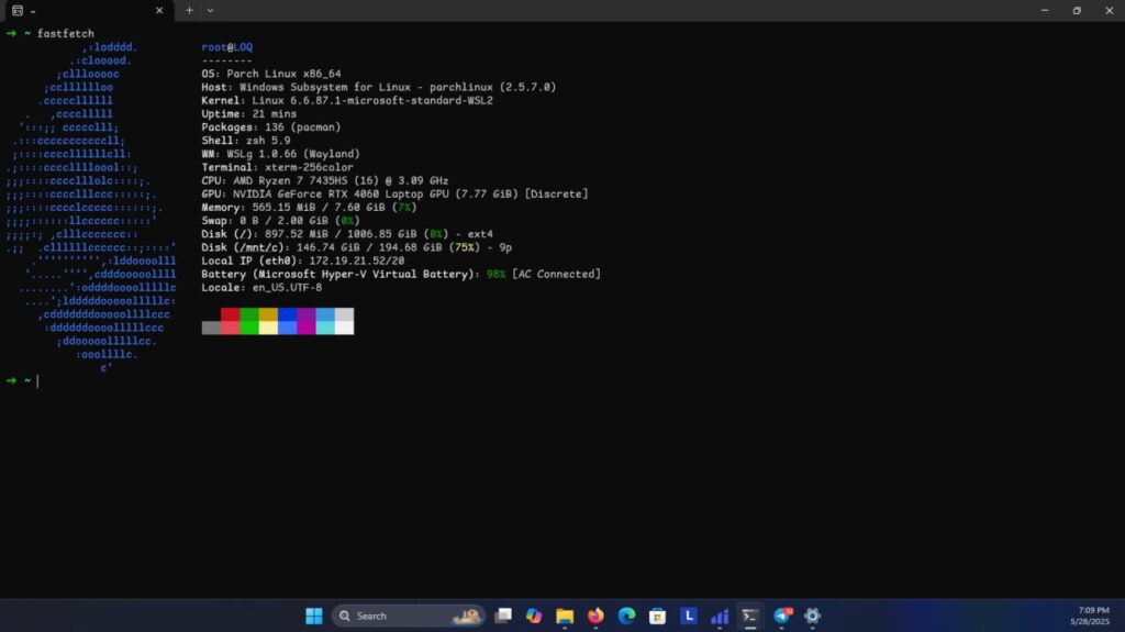 wsl 1024x575